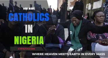 Exploring Nigeria's Catholic Population: A Comprehensive Overview and Analysis