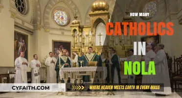Exploring the Catholic Population in New Orleans: A Comprehensive Overview