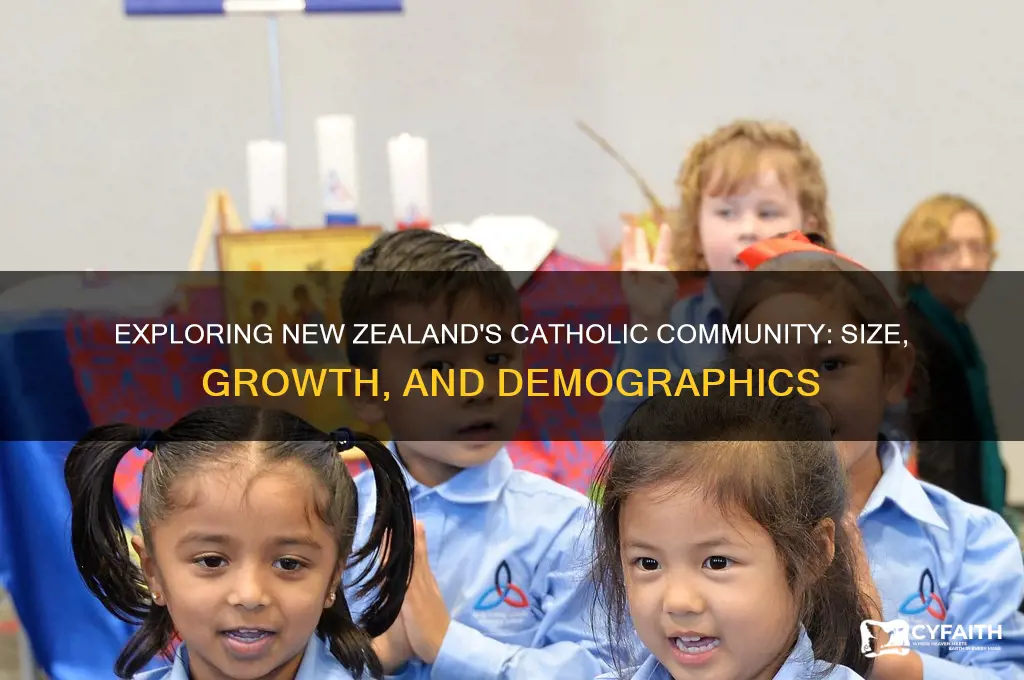 how many catholics in nz