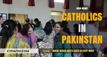 Exploring Pakistan's Catholic Community: Size, Presence, and Impact