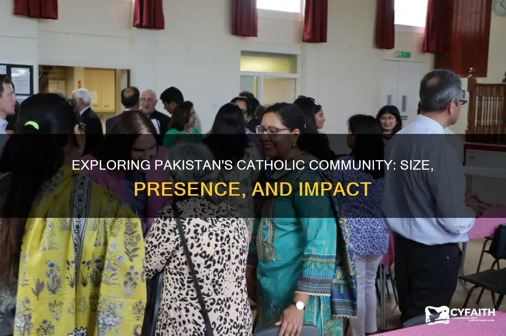 how many catholics in pakinstan