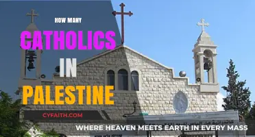 Catholic Presence in Palestine: Exploring the Faithful Community's Size