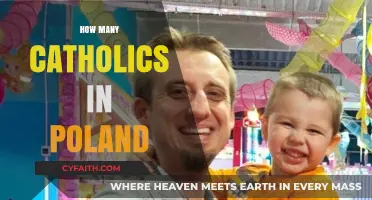 Poland's Catholic Population: A Comprehensive Overview of Faith and Numbers
