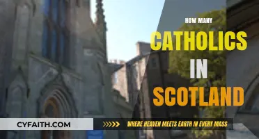Exploring Scotland's Catholic Population: Numbers, Trends, and Insights