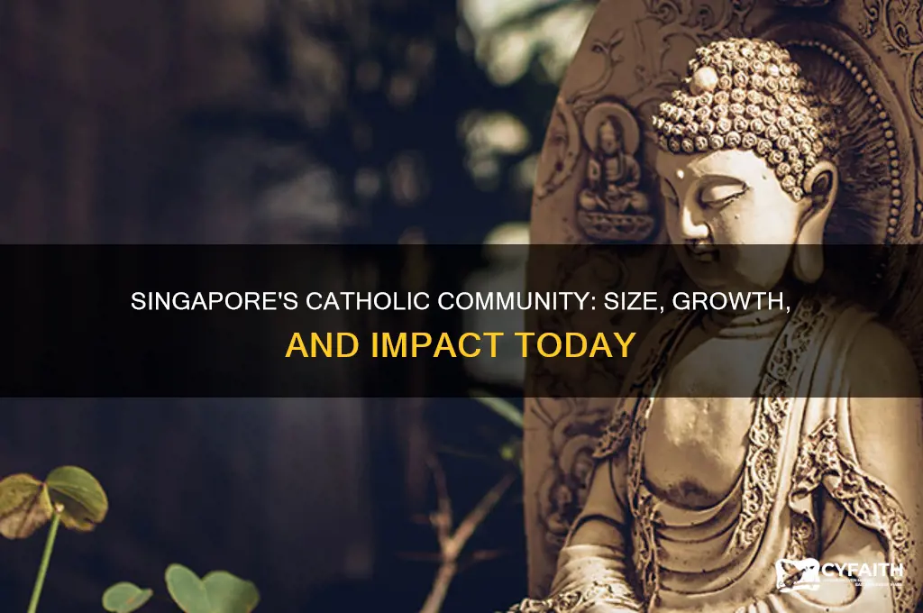 how many catholics in singapore
