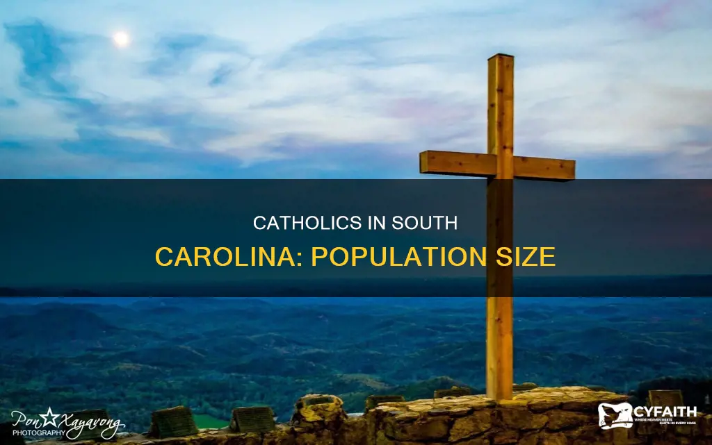 how many catholics in south carolina
