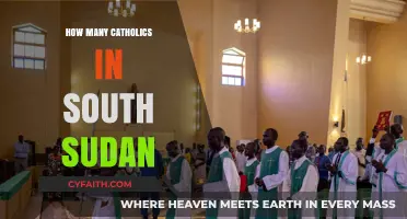 South Sudan's Catholic Population: How Many?