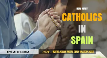 Exploring Spain's Catholic Population: A Comprehensive Demographic Overview