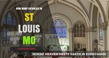 St. Louis, MO: A Catholic Community Overview