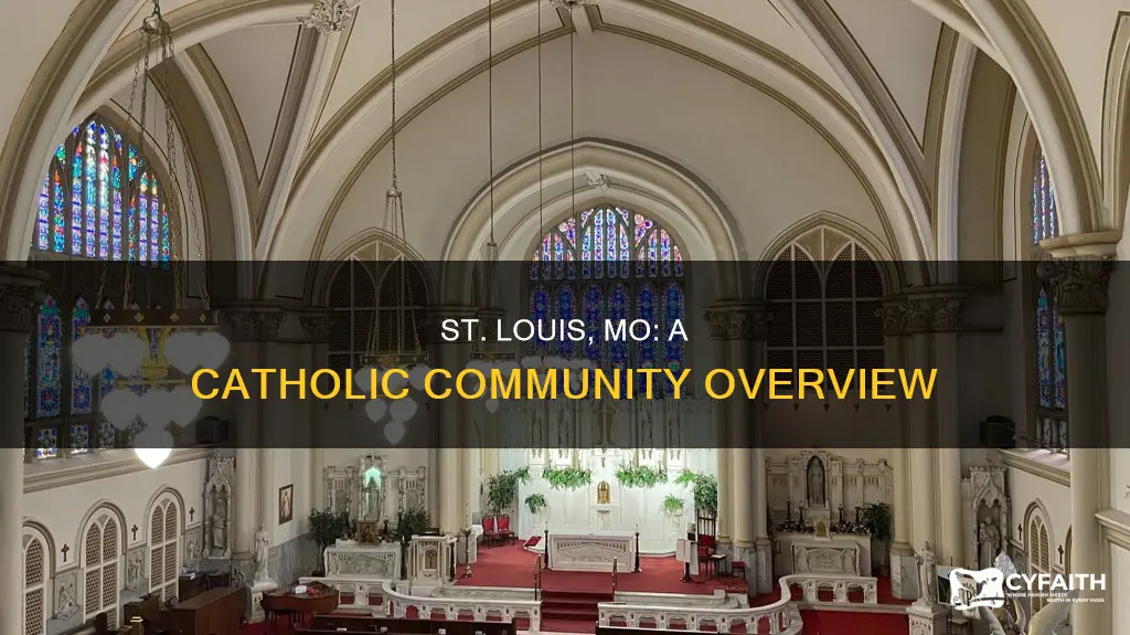 how many catholics in st louis mo