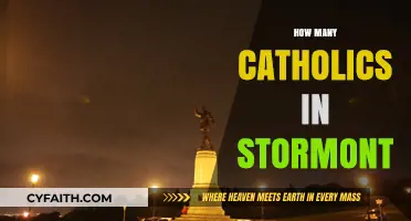 Stormont's Catholic Representation: Exploring Faith and Politics in Northern Ireland