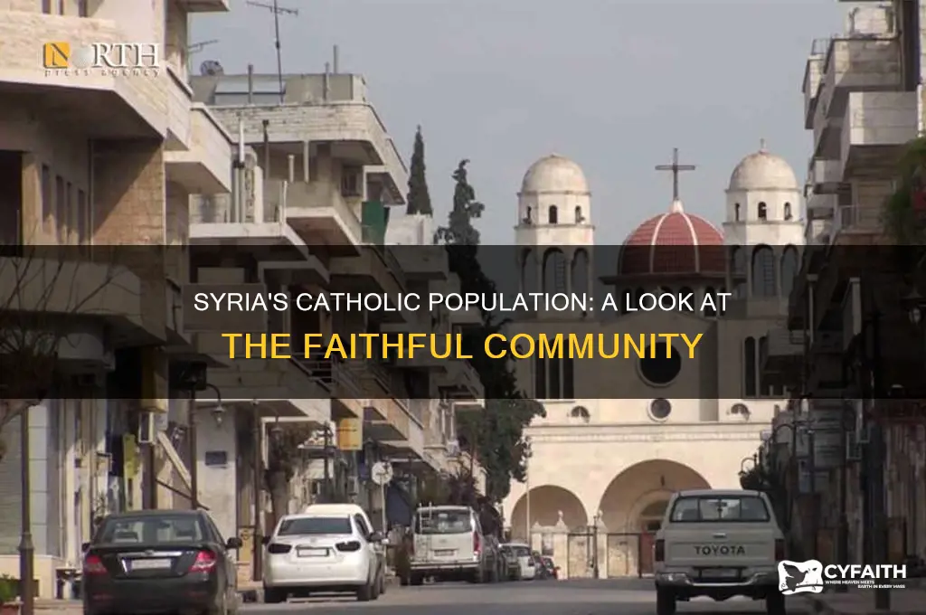 how many catholics in syria