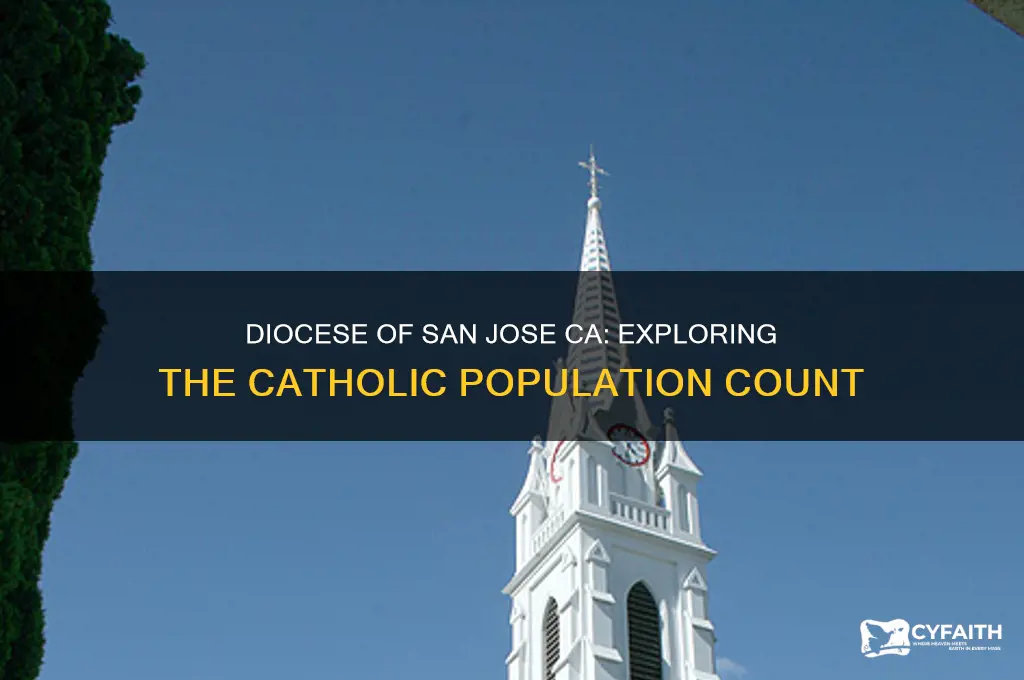 how many catholics in the diocese of san jose ca