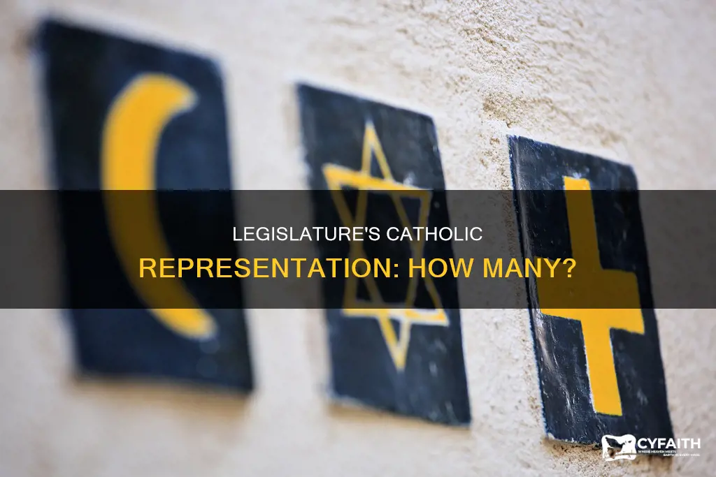 how many catholics in the national legislature
