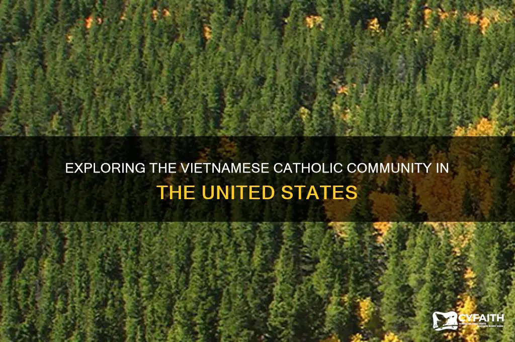 how many catholics in the us that are vietnamese
