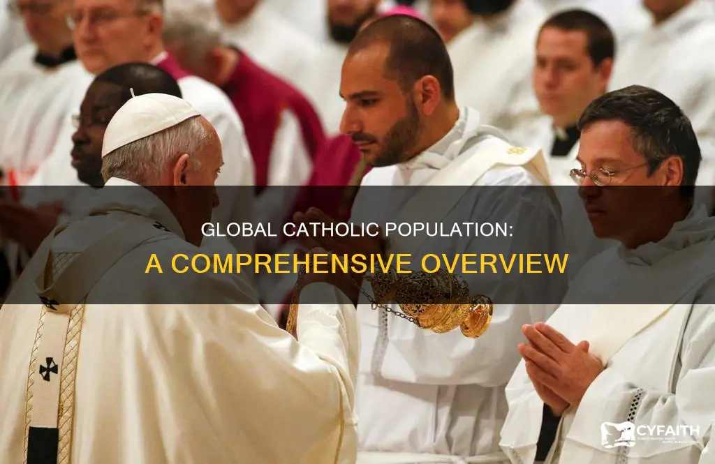 how many catholics in the work