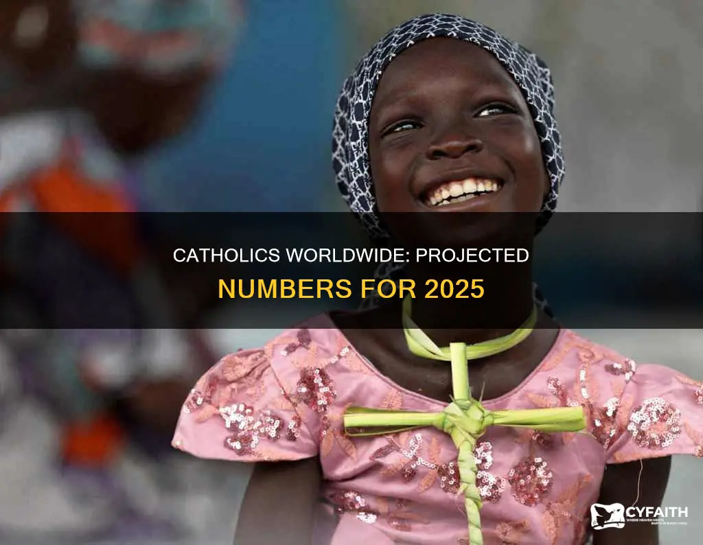 how many catholics in the world 2025