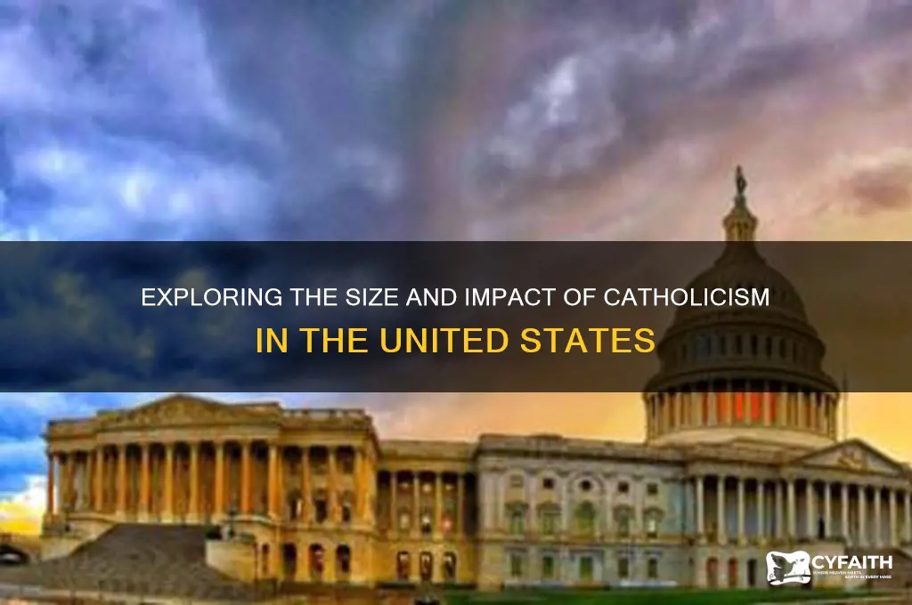 how many catholics in theus