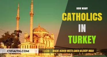 Exploring the Catholic Community: A Look at Turkey's Faithful Population
