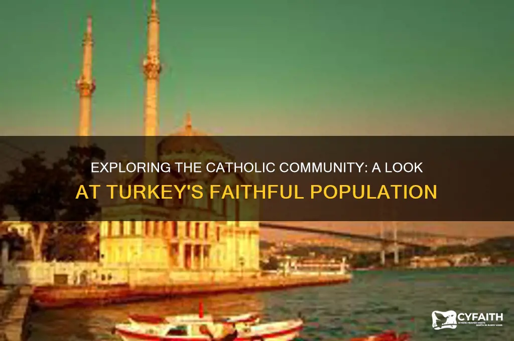 how many catholics in turkey