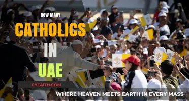 Exploring the Catholic Community: Population Insights in the UAE