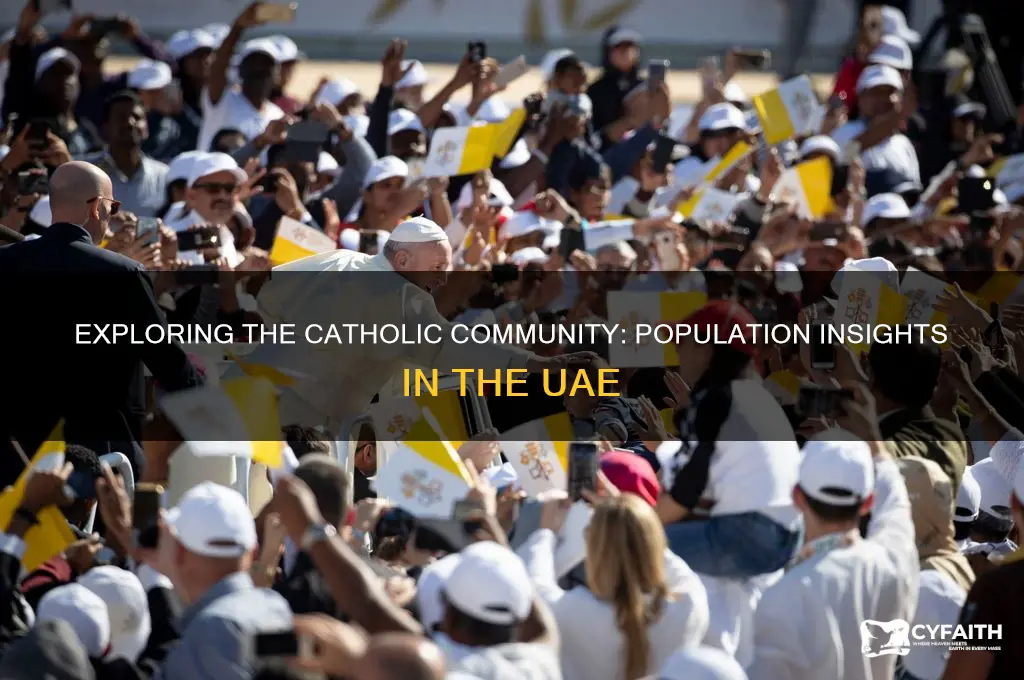 how many catholics in uae