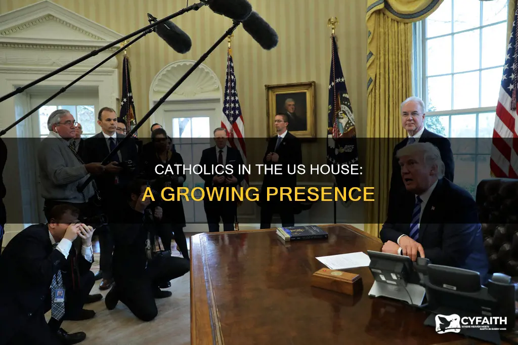 how many catholics in united state house