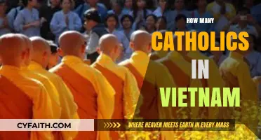 Exploring Vietnam's Catholic Population: A Comprehensive Overview