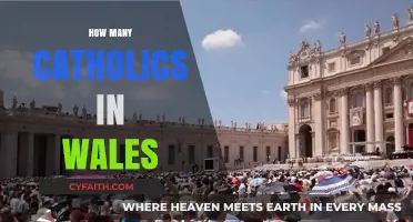Exploring the Catholic Population in Wales: Trends and Insights