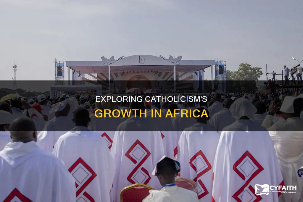 how many catholics live in africa