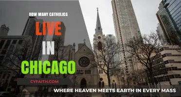 Chicago's Catholic Population: A Comprehensive Overview