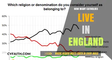 English Catholics: Population and Presence