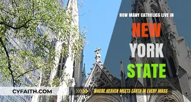 Catholics in New York: Population Insights