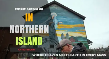Catholics in Northern Ireland: Population and Influence