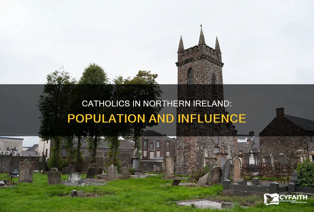 how many catholics live in northern island