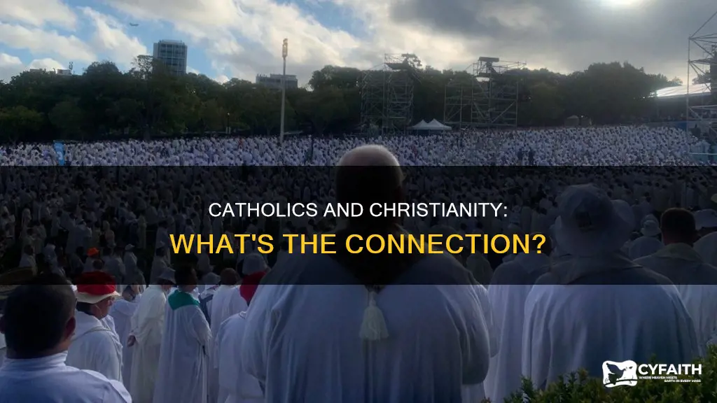 how many catholics make up christianity