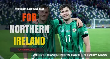 Who Are Northern Ireland's Catholic Football Players?
