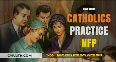 Understanding Natural Family Planning Among Practicing Catholics Today