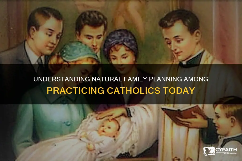 how many catholics practice nfp