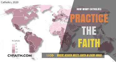 Catholics Practicing Faith: A Declining Number?