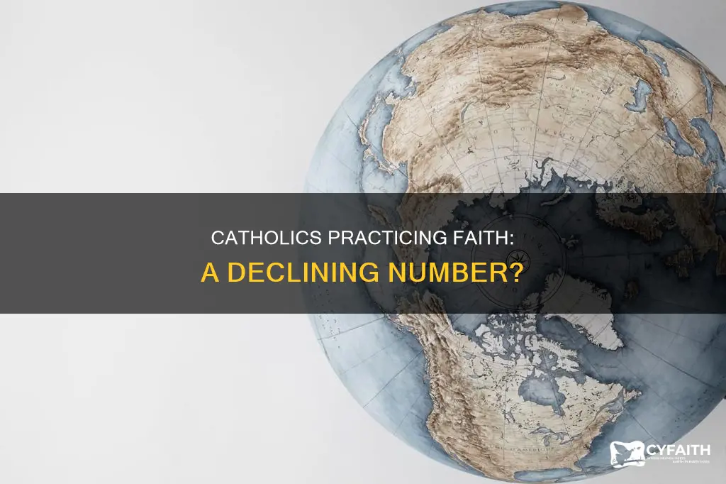 how many catholics practice the faith