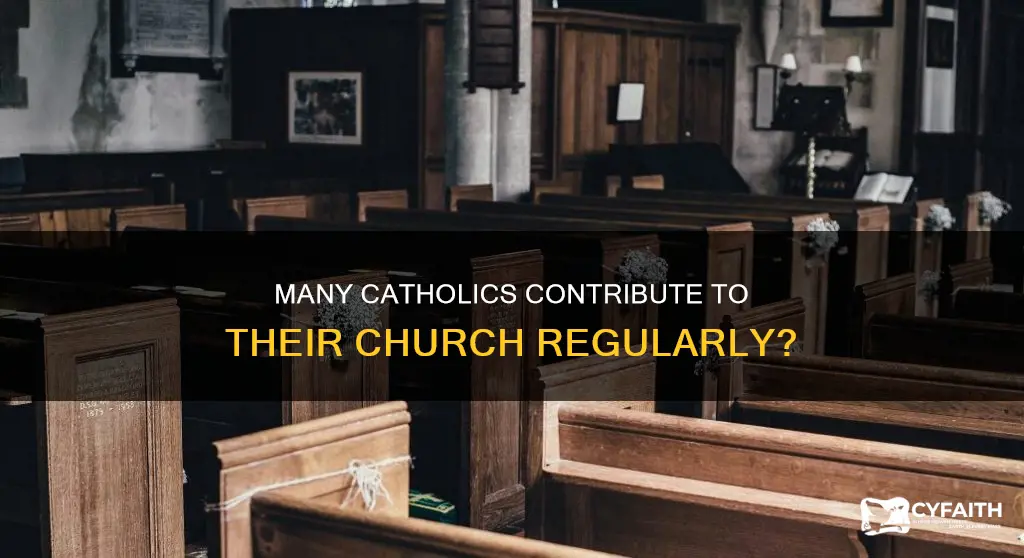 how many catholics regularly contribue to their chruch