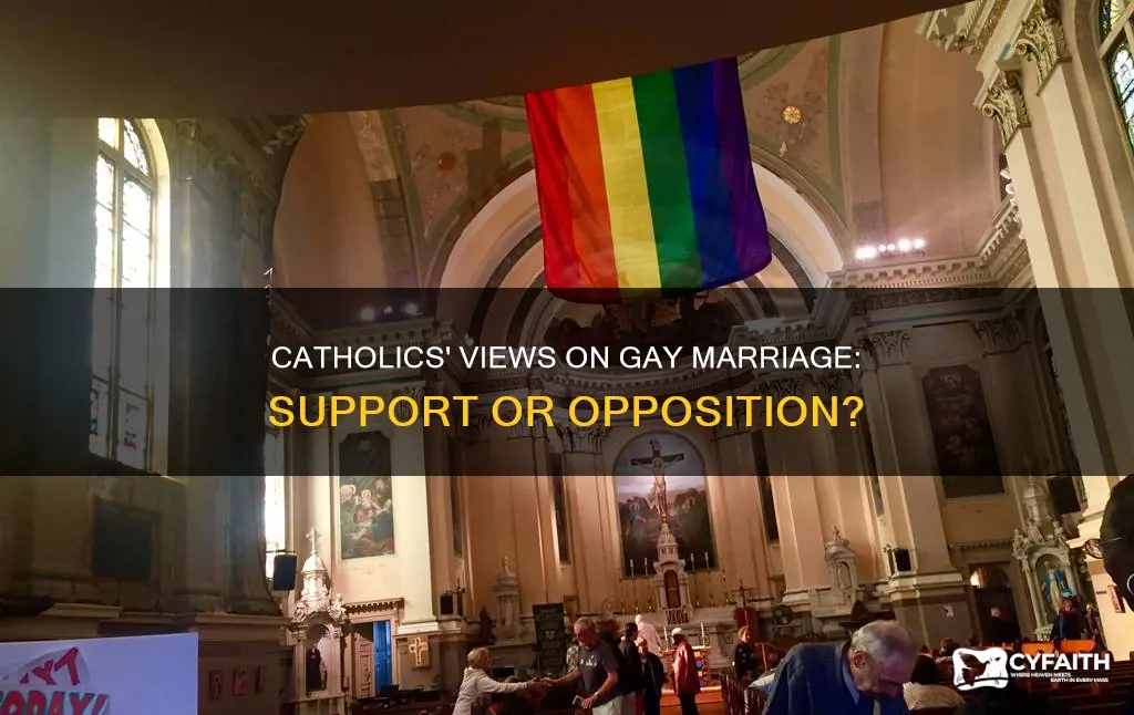 how many catholics support gat marraige