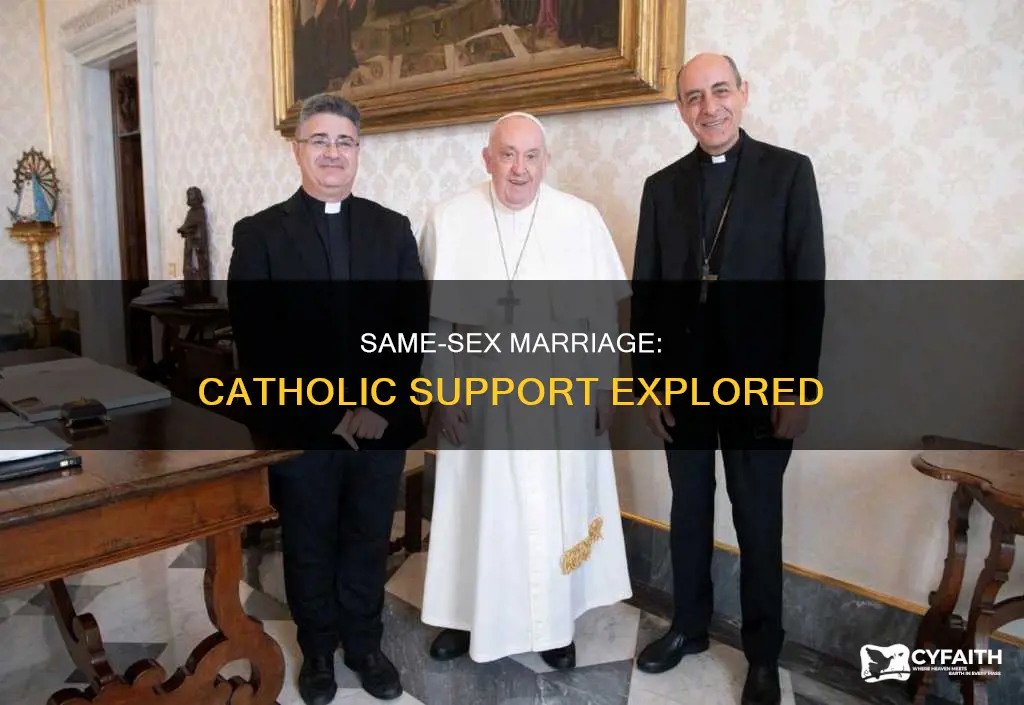 how many catholics support same sex marriage