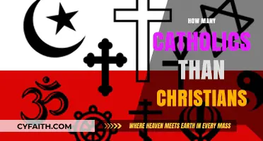Comparing Catholic and Christian Populations: Understanding Global Religious Demographics
