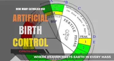 Catholics and Contraception: Artificial Birth Control Usage