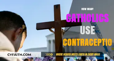 Contraception Use Among Catholics: Trends, Beliefs, and Practices Explored