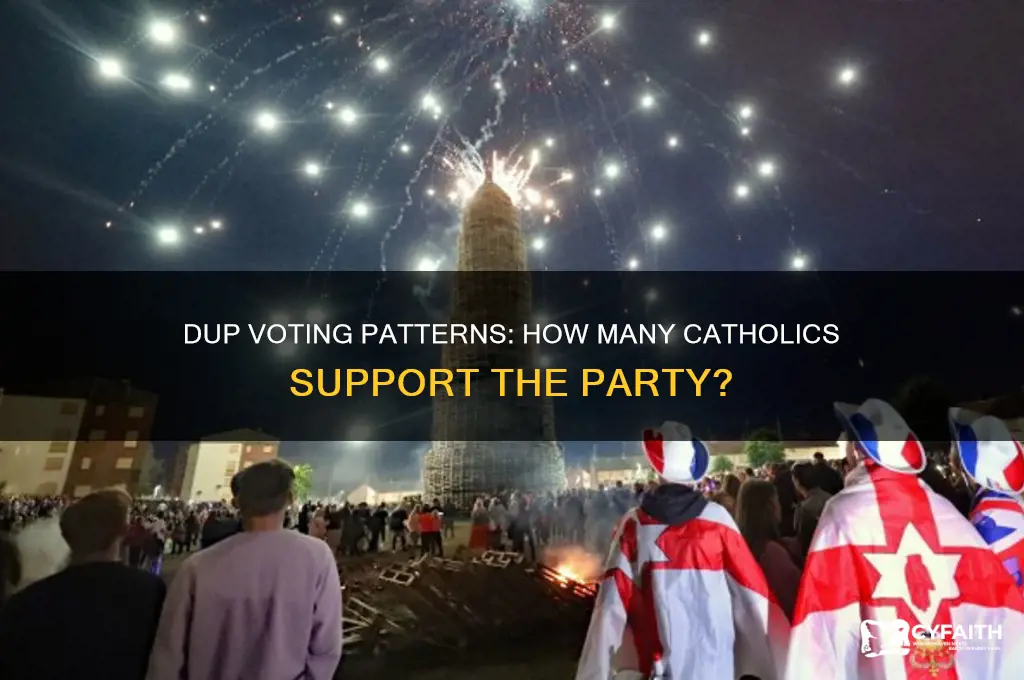 how many catholics vote dup