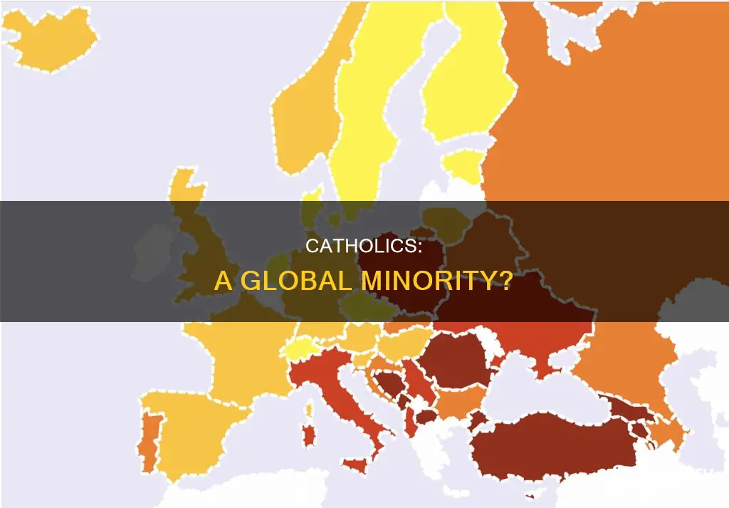 how many catholics vs rest of the world