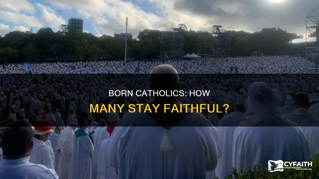 how many catholics were born catholic